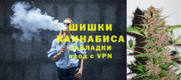 ПСИЛОЦИБИНОВЫЕ ГРИБЫ Няндома