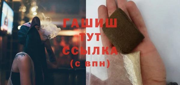 ПСИЛОЦИБИНОВЫЕ ГРИБЫ Няндома