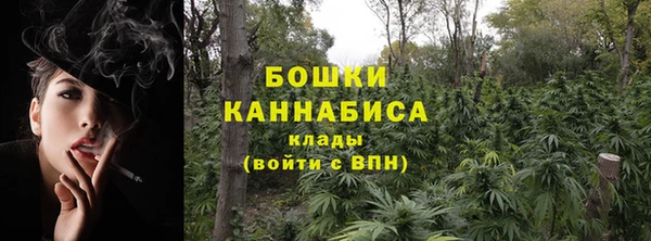 дживик Нягань