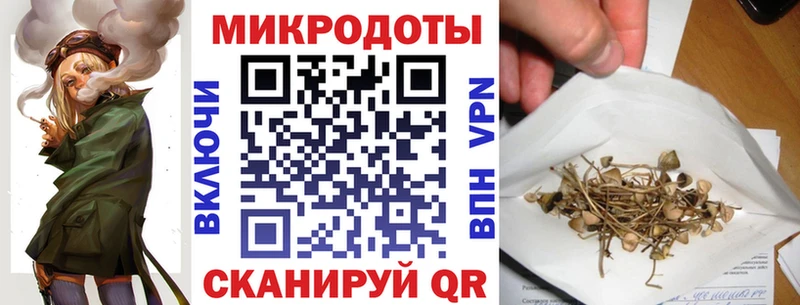 ссылка на мегу рабочий сайт  даркнет сайт  Алзамай  Псилоцибиновые грибы Psilocybe 