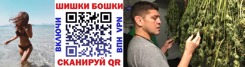 Каннабис OG Kush  купить   Алзамай 